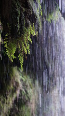 Calm waterfall