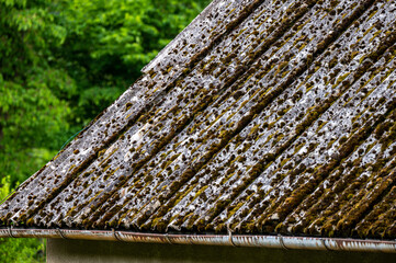 Dangerous asbestos roofs are still common in the poverty parties of the Carpathian Mountains in Poland and Ukraine. Asbestic tile on the barn roof, Bieszczady Mountains, Poland.