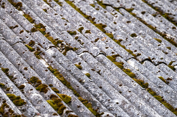 Dangerous asbestos roofs are still common in the poverty parties of the Carpathian Mountains in Poland and Ukraine. Asbestic tile on the barn roof, Bieszczady Mountains, Poland.
