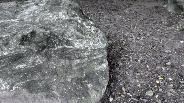 Close up on the texture of the stone in the park.