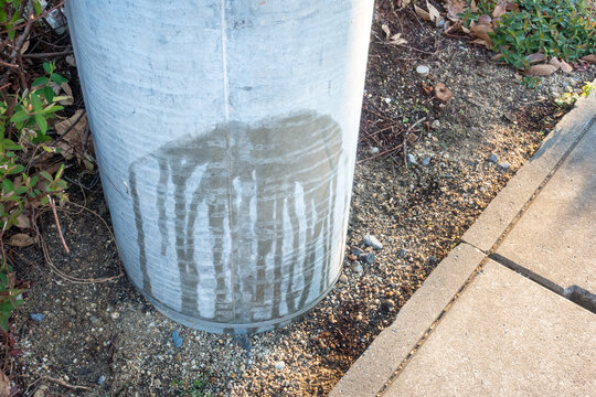 おしっこ Images Browse 759 Stock Photos Vectors And Video Adobe Stock