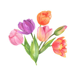 Illustration of a bouquet of tulips