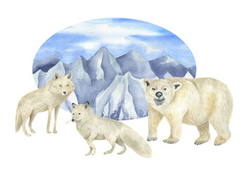 Illustration of arctic animals