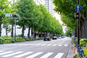 山下公園前の道路