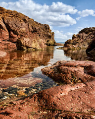 Fototapeta na wymiar In amongst the rock pools at Red Rock Beach, Phillip Island