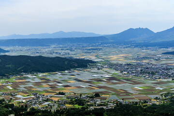 阿蘇千枚田