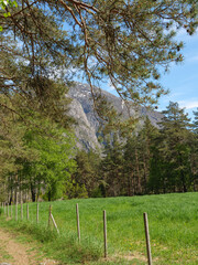 Fototapeta premium Frühling in Norwegen