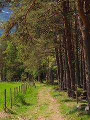 Fr&uuml;hling in Norwegen