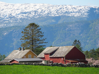 Fototapeta na wymiar Frühling in Norwegen