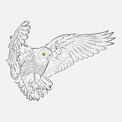 Fototapeta premium Snowy owl in lines, black, with yellow eyes