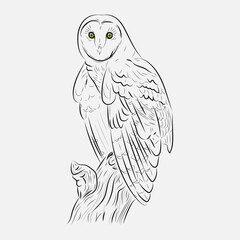 Barn owl, in lines, black, with yellow eyes