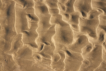 Fototapeta na wymiar Strukturen und Muster im Sand bei Ebbe