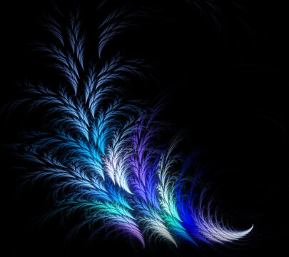 Abstract fractal blue feathery pattern on black background