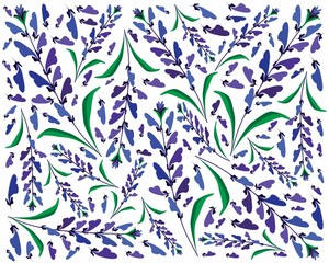Beautiful Flower, Illustration Background of Blue Sage Flowers or Salvia Sclarea Flower with Green Leaves.
