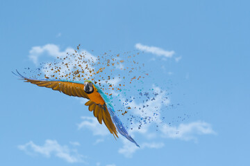 Parrot flying freely with disintegration effect, forming the Ukrainian flag with yellow and blue...
