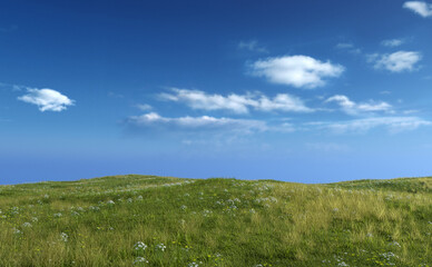 Rolling landscape with grassland and daisies under a blue cloudy sky. 3D render.