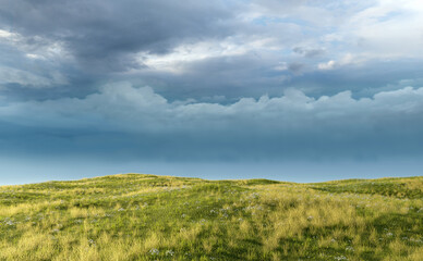 Obraz premium Rolling landscape with grassland and daisies under a cloudy sky. 3D render.