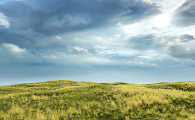 Fototapeta premium Rolling landscape with grassland and daisies under a cloudy sky. 3D render.
