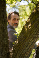 Handsome mature man with grey beard looking out behind tree hugging it wearing casual jacket and jeans exits frame. 4K high resolution footage