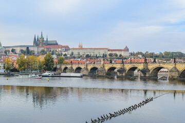Photos of a trip through different European cities, from a tourist's point of view. In the photos you can see famous streets and places in Venice, Madrid, Amsterdam, Florence, Prague, Munich, Berlin, 