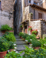 Fototapeta na wymiar The beautiful little town of Capranica, in the Viterbo Province. Lazio, central Italy.