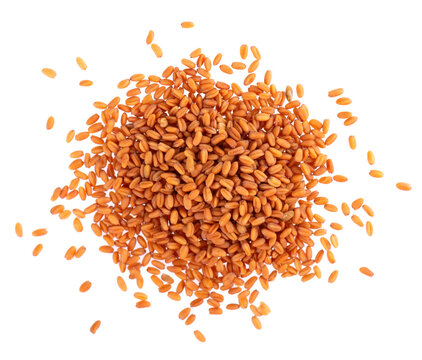 Camelina sativa seeds isolated on white background. Seeds of camelina or false flax. Raw material for the production of camelina oil. Top view.