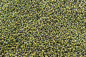 mung bean multigrain seeds