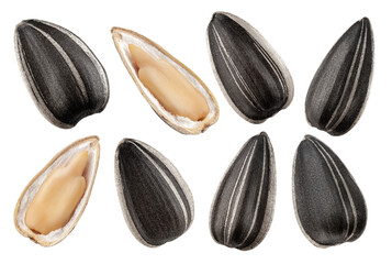 sunflower seed, isolated on white background, clipping path, full depth of field