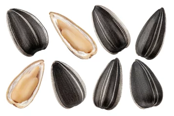 Rolgordijnen sunflower seed, isolated on white background, clipping path, full depth of field © grey