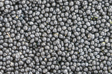 Green Heart Black Bean Multigrain