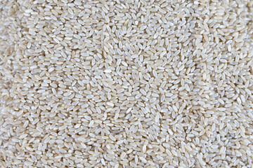 brown rice food grain