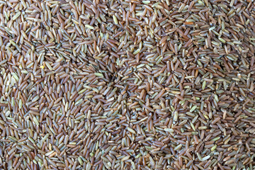 Mojiang purple rice grains