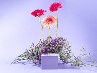Spring floral podium scene on purple background with pink flowers