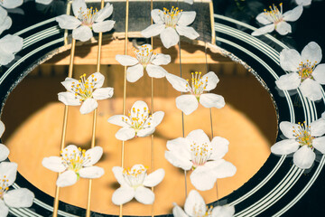 Flowers on guitar strings. Spring flowers. Musical string instrument. Guitar with flowers