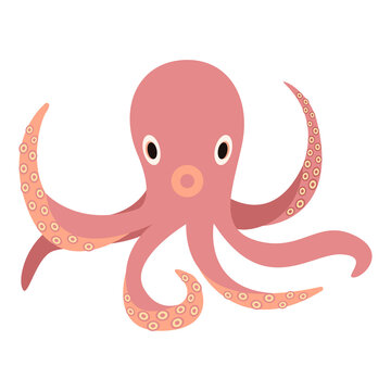 Cartoon cute octopus vector isolated object illustration