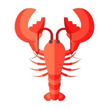 Cartoon red lobster vector isolated object illustration