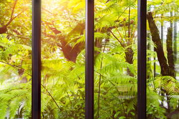  The window view garden background.