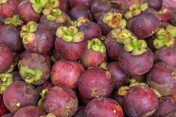 Close up of Mangosteen (Garcinia mangostana)