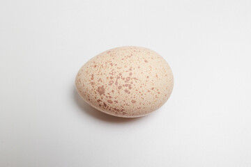 Fresh Turkey Eggs on a white background Large speckled eggs (egg shells)