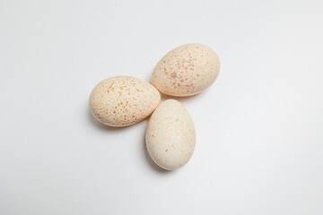 Fototapeta na wymiar Three fresh Turkey Eggs on a white background Large speckled eggs (egg shells)