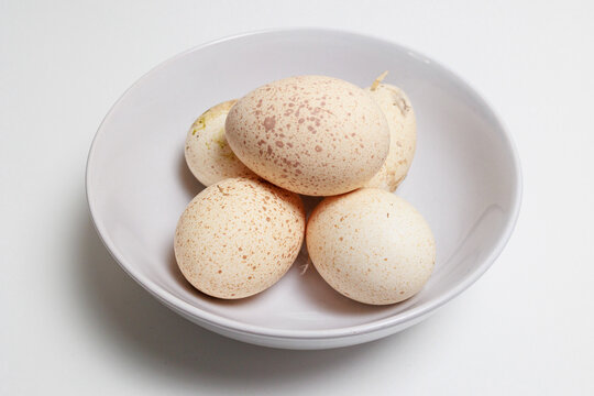 speckled eggs