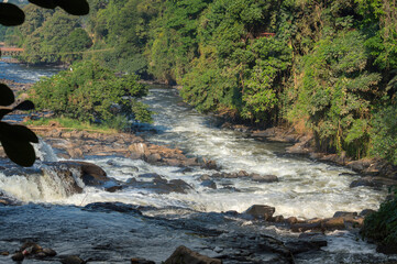 Stretch of the rapids of a river, rocks and many trees