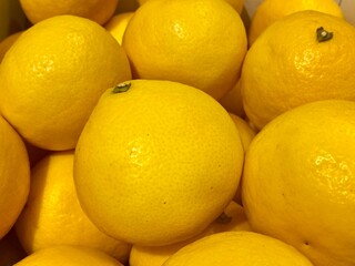 日本の柑橘系の果物「Konatsu」