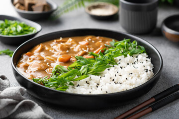 Japanese curry with rice and green onions in a ceramic plate, selective focus