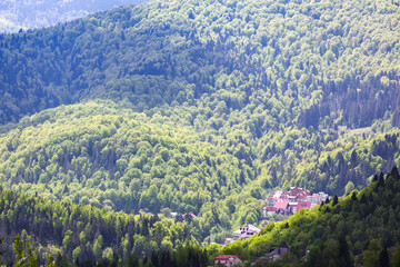 View of the sunlit slopes of the Carpathian mountains in Ukraine.