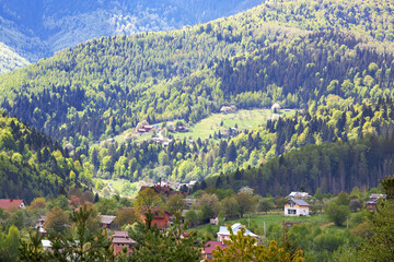 View of the sunlit slopes of the Carpathian mountains in Ukraine.