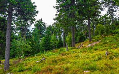 Fototapeta na wymiar Panorama view to mountain landscape of Wurmberg Braunlage Harz Germany.