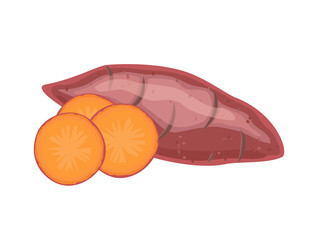 Sweet potato, whole and slices, flat style vector illustration isolated on white background
