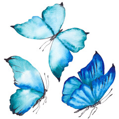 Set of blue butterflies. Watercolor illustration isolated on white background.