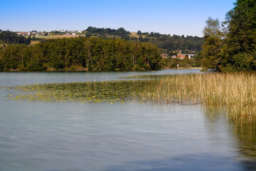 Lake Hallwil 3